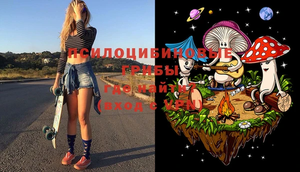 ешки Сосновый Бор