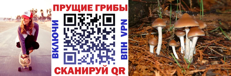 мега ССЫЛКА  Вятские Поляны  Псилоцибиновые грибы мухоморы 